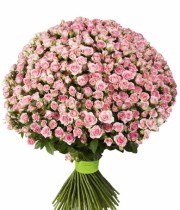 Bouquet of 101 pink spray roses